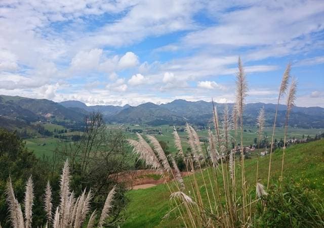 TERRENOS EN VENTA – Victoria del Portete — foto 12