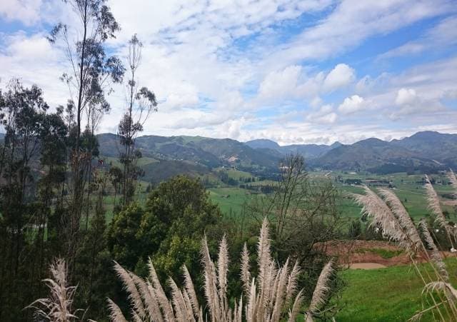 TERRENOS EN VENTA – Victoria del Portete — foto 13
