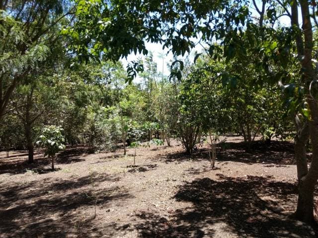 CASAS DE ARRIENDO EN VILCABAMBA - MALACATOS — foto 4