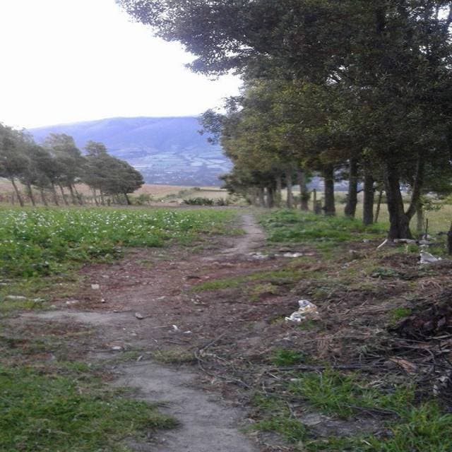 VENDO BONITA CASA DE CAMPO CERCA A OTAVALO — foto 4