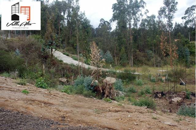 TERRENO AMPLIO Y FUNCIONAL EN CHALLUABAMBA — foto 11