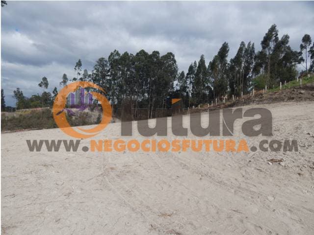 TERRENO EXTENSO POR RICAURTE $ 108.000 — foto 2