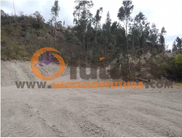 TERRENO EXTENSO POR RICAURTE $ 108.000 — foto 4
