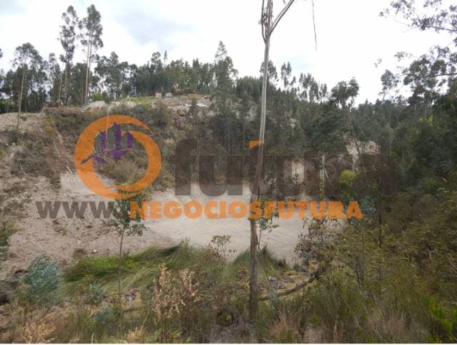 TERRENO EXTENSO POR RICAURTE $ 108.000 — foto 5