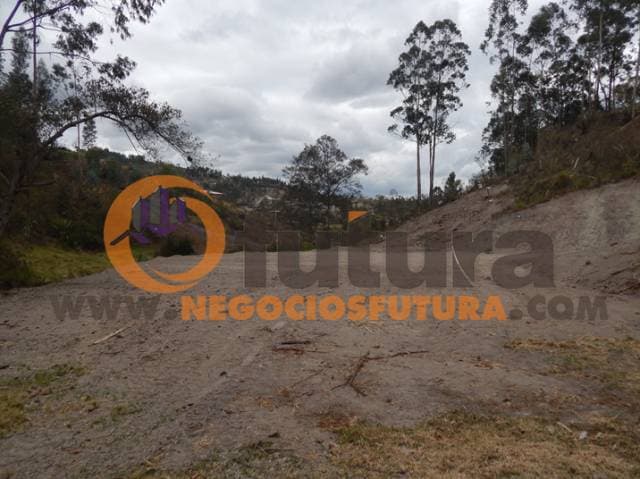 TERRENO EXTENSO POR RICAURTE $ 108.000 — foto 6