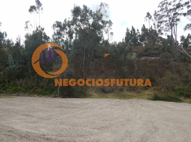 TERRENO EXTENSO POR RICAURTE $ 108.000 — foto 7