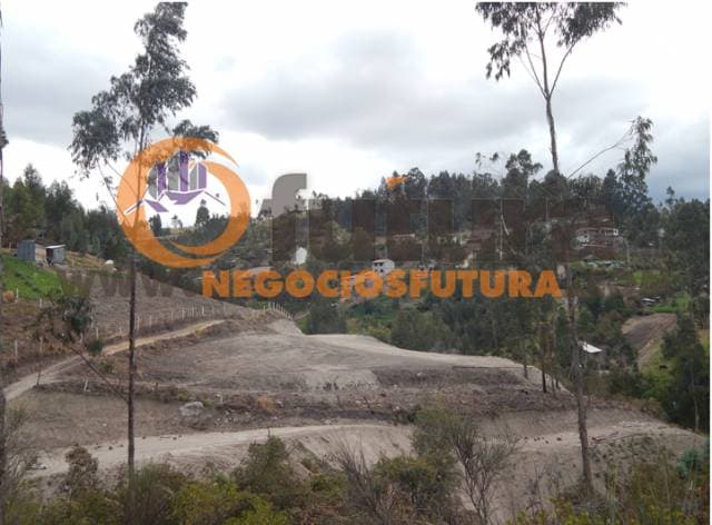 TERRENO EXTENSO POR RICAURTE $ 108.000 — foto 8