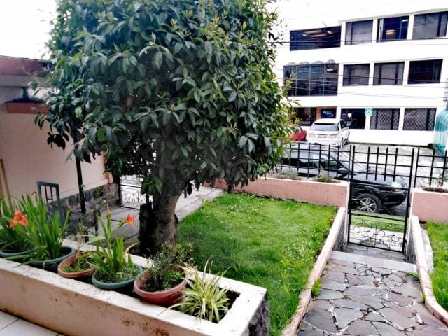 Casa dos plantas Mariana de Jesús incluye 2 minidepartamentos — foto 7