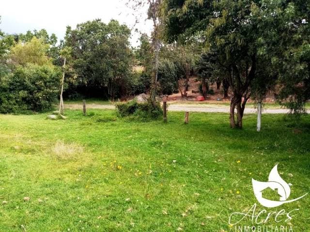 EN VENTA CASA EN AYORA 207m2C Y 2020M2T CAYAMBE - ECUADOR — foto 7