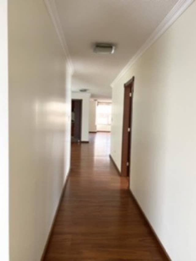 FICOA DEPARTAMENTO DE 225 M2 — foto 3
