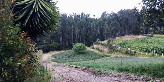 Conjunto Privado Kamari — foto 2
