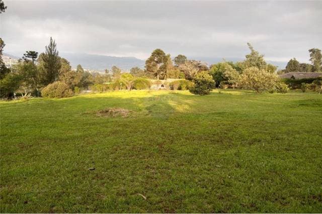 3 Terrenos de venta — foto 6