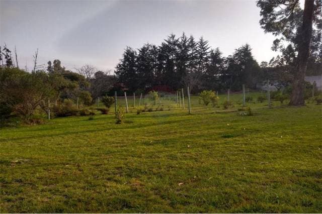 3 Terrenos de venta — foto 8