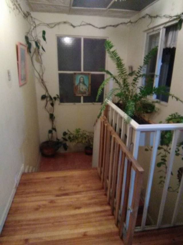 Casa de oportunidad — foto 6