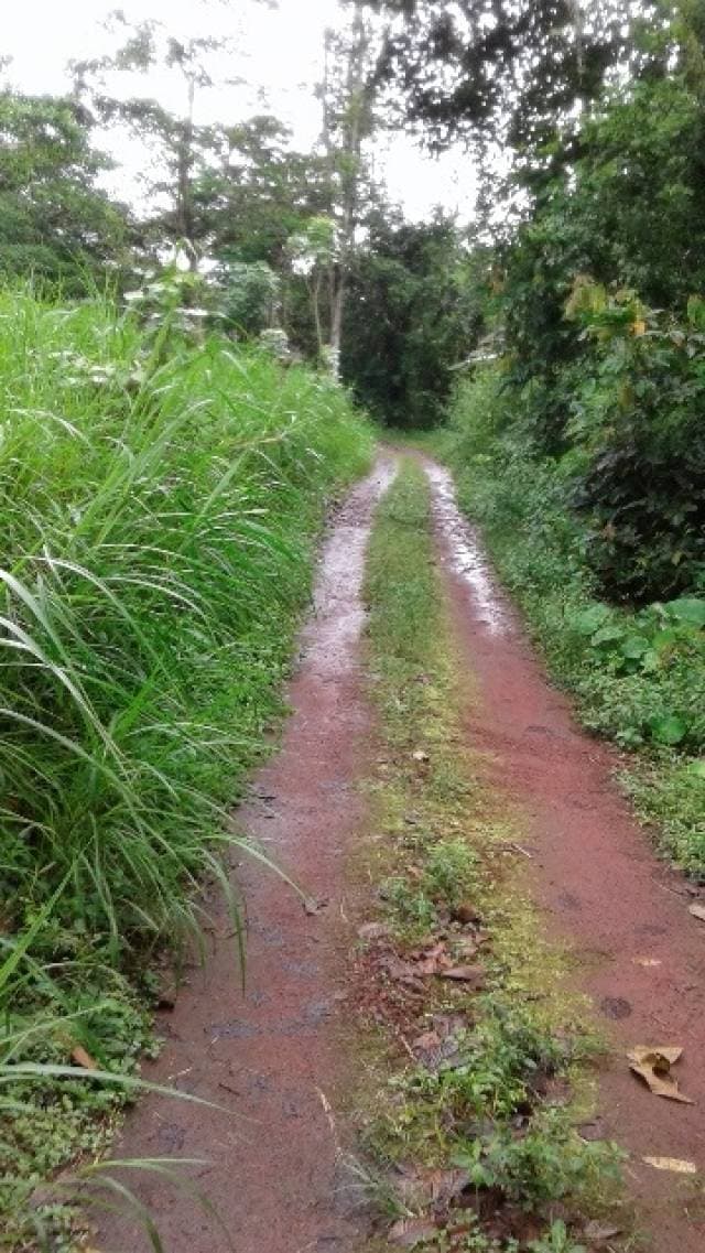Casa de dos plantas en finca — foto 5