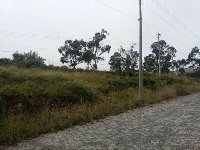 TERRENO URBAIZACION LIRIOS DE CARCELEN — foto 1