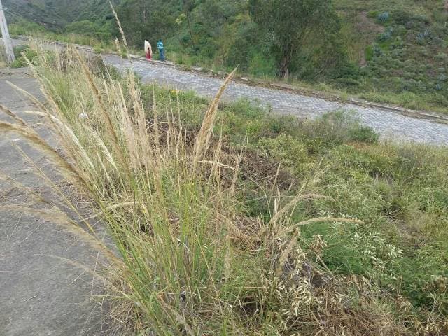 TERRENO URBAIZACION LIRIOS DE CARCELEN — foto 3
