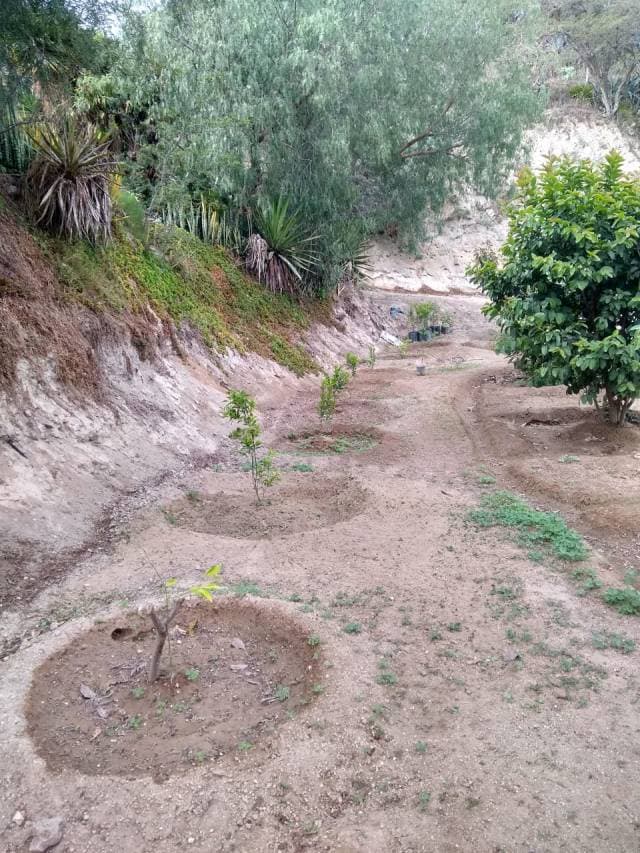 SE VENDE UNA PROPIEDAD EN GUAYLLABAMBA — foto 2
