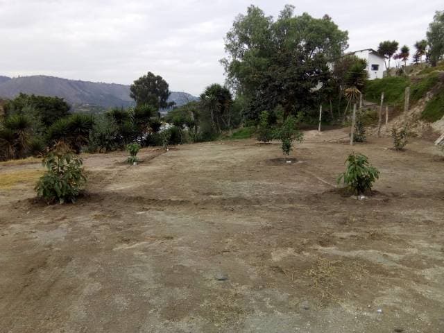 SE VENDE UNA PROPIEDAD EN GUAYLLABAMBA — foto 7