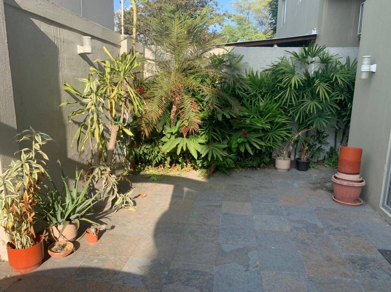 DEPARTAMENTO PLANTA BAJA DE VENTA EN IBIZA — foto 7