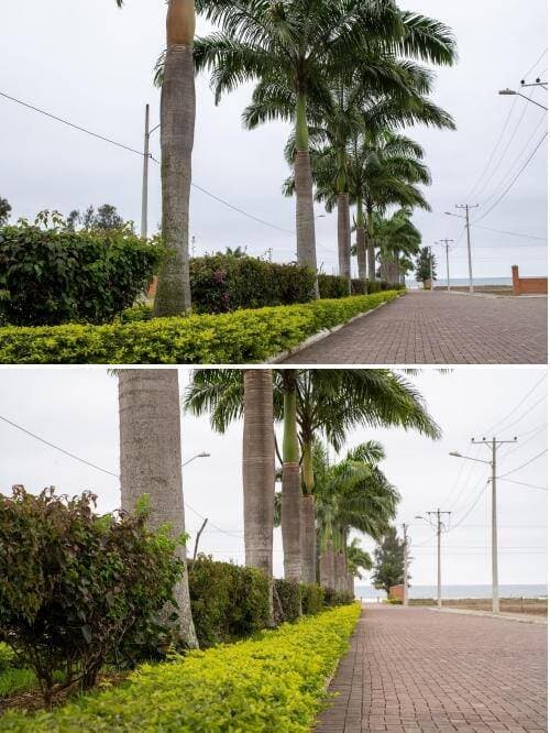 Venta de Terrenos en Ventura Resort en Olón, Ecuador. — foto 11