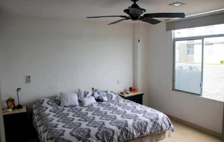 DEPARTAMENTO PLANTA BAJA AMOBLADO EN ALQUILER — foto 15