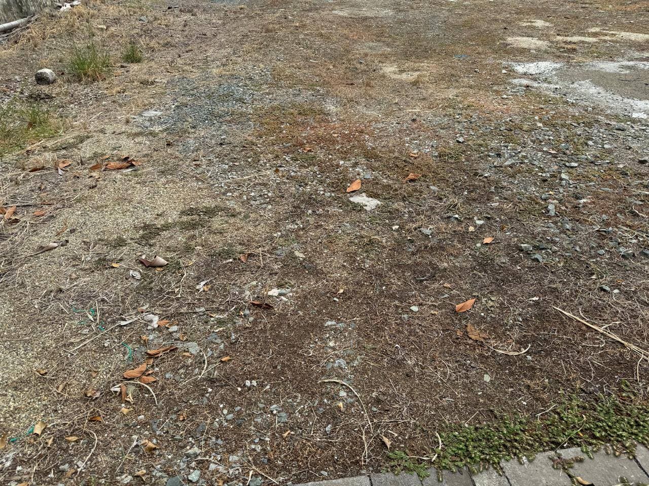 TERRRENO AL RIO EN RIBERAS DE BATAN 1500 MTS2 — foto 4