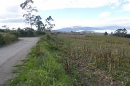 Terreno totalmente plano en Malchingu 30000m2 - $12 c/m2